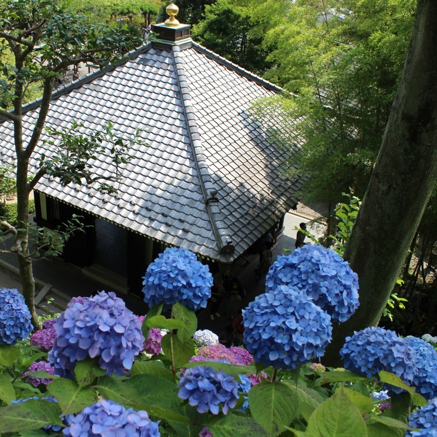 【特集】kamakura 2017