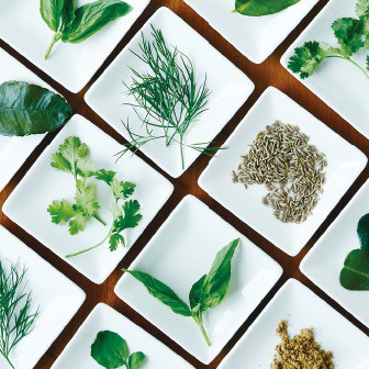 【連載：I ♥ Vietnam】素材を知る