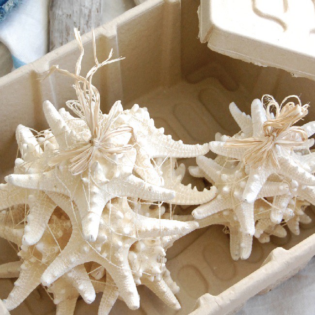 湿気と付き合う