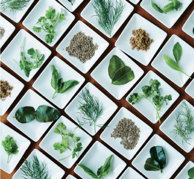 【連載：I ♥ Vietnam】素材を知る