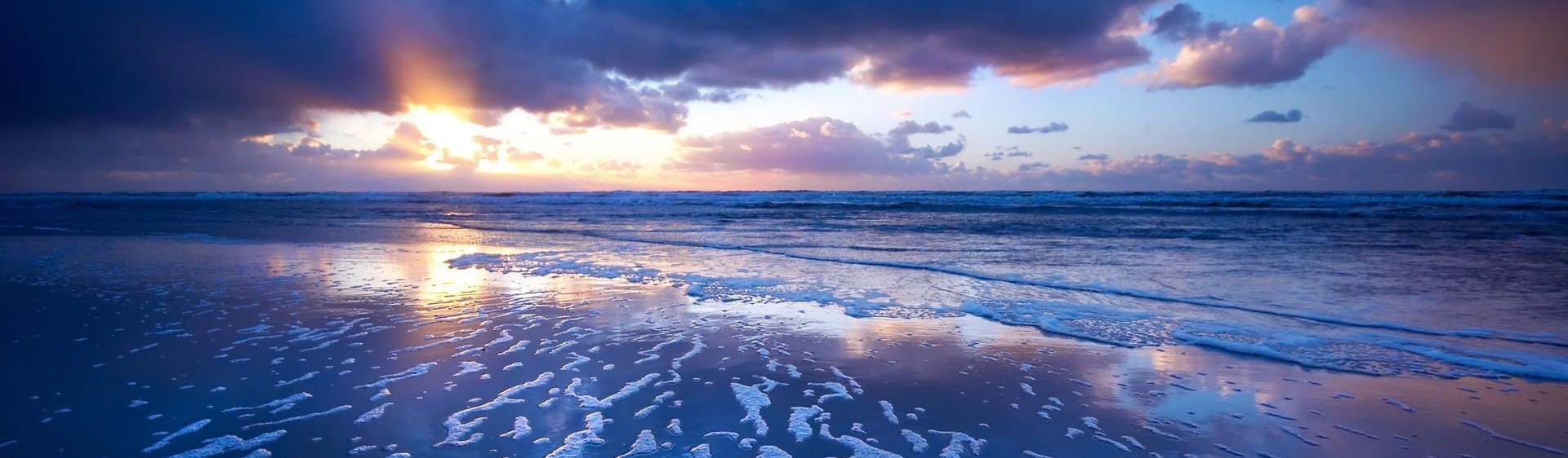 Francfranc Summer Collection